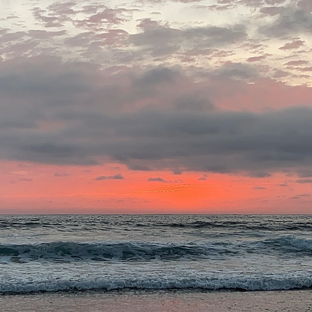 ¿Qué Playas de Baja California Son Seguras para Recreación este Verano 2026?